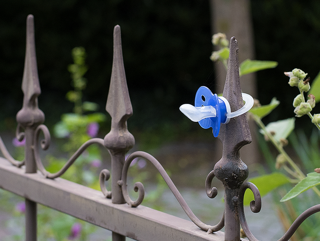 Schleswig Holstein Ostsee 09_2015 KA7_6561 als Smartobjekt-1 Kopie.jpg - Fundsache am Zaun